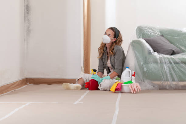 Trusted Mold Testing service in Winterville, NC - WQB Mold Removal